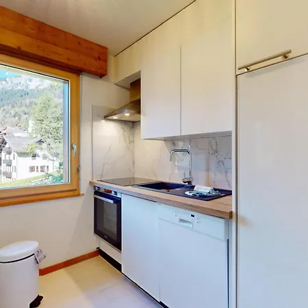 Modern Alpine With Sauna Apartment